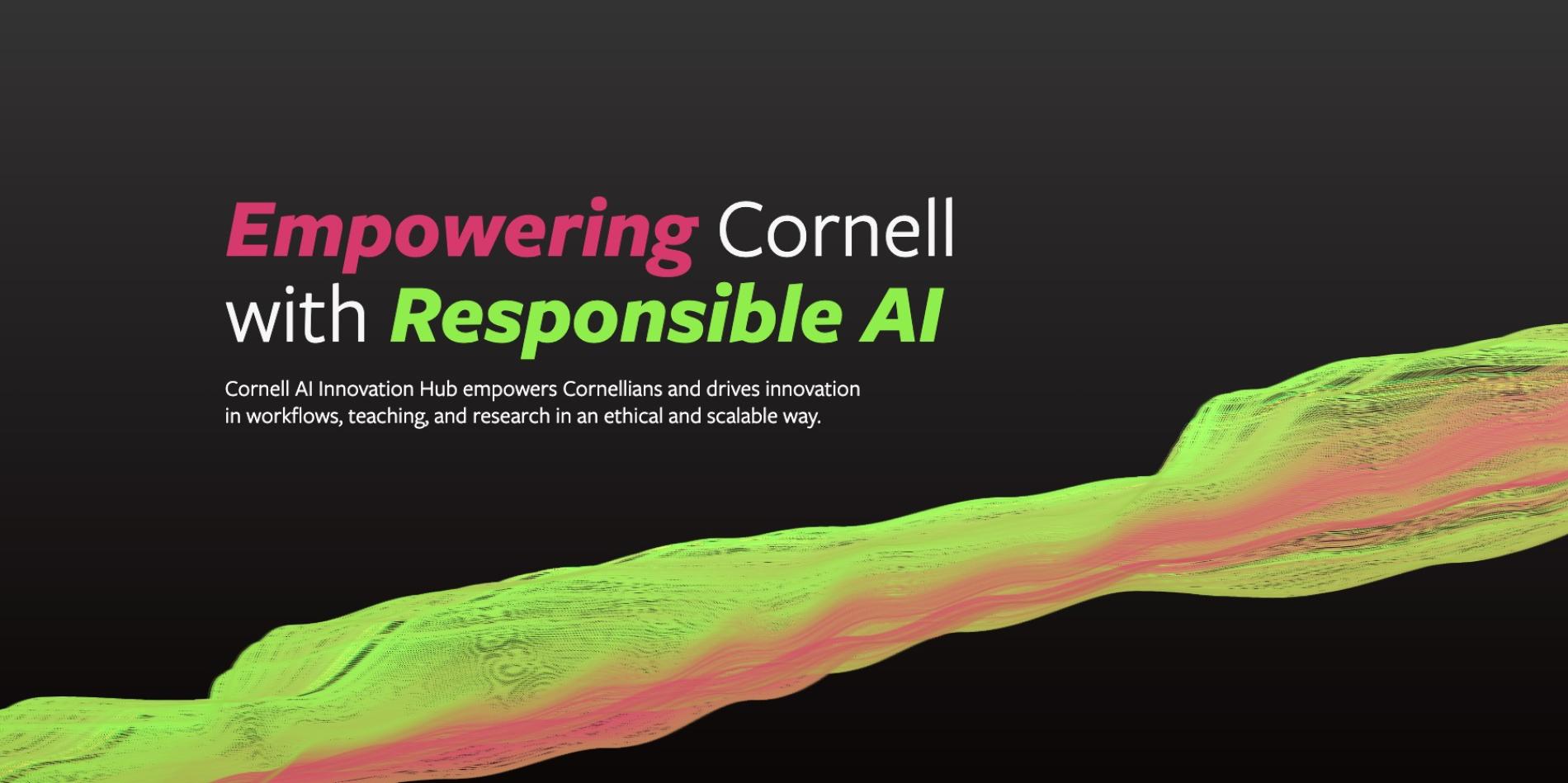 A still from the AI Innovation Hub's new website