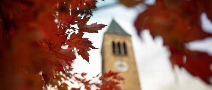 McGraw Tower is surrounded by autumn leaves.