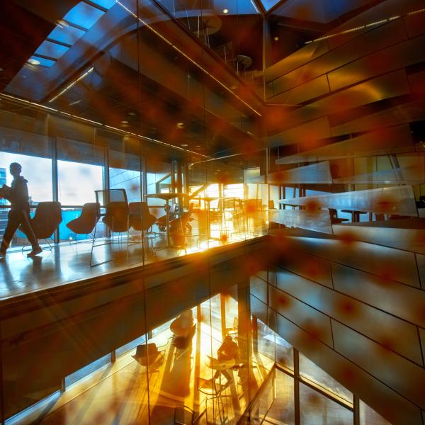 people walking along hallways, sun setting, reflected in glass
