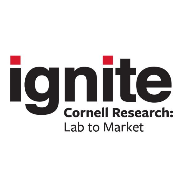 Logo in black on white background, says Ignite Cornell Research: Lab to Market