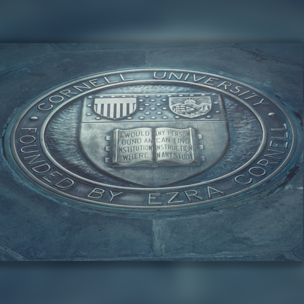 Eight Merrill Scholars named from Cornell Bowers CIS 