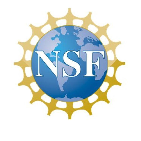 Davis, Ellis, Sun win NSF development awards