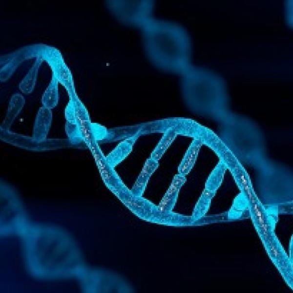 A DNA double helix in blue with a black background. 