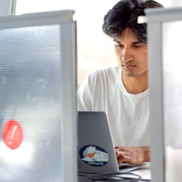 Summer program gives undergraduates a taste of research life