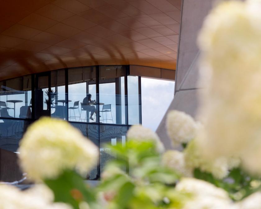 Person sitting by windows inside a modern building, seen through blooming white flowers.